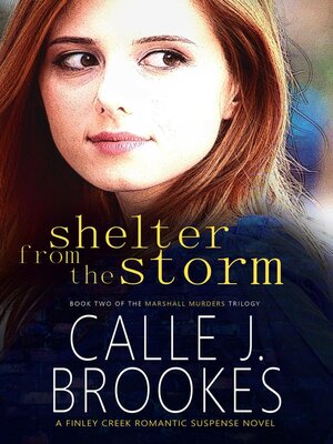 cover image of Shelter from the Storm